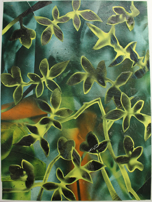 Looking Into Plants by Andy Harris