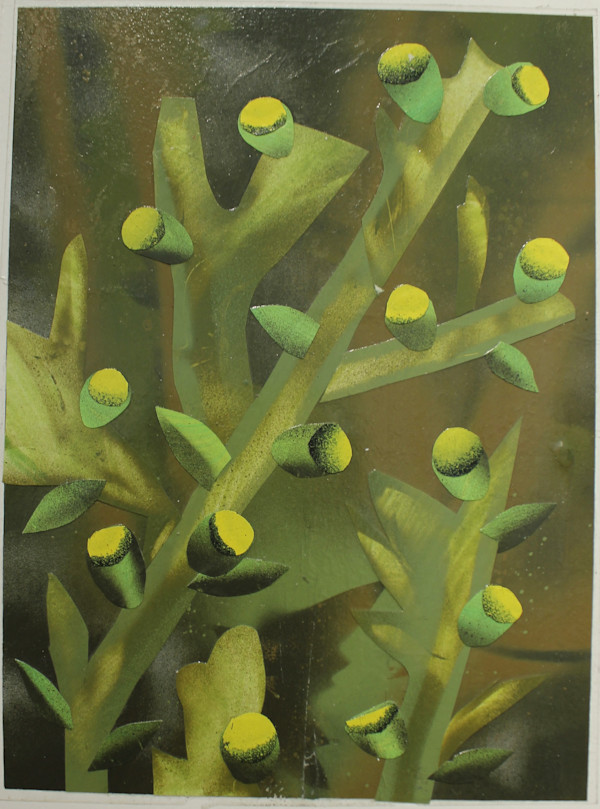 Parking Lot Weeds by Andy Harris