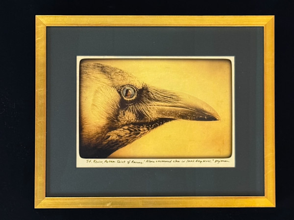 St. Kevin, Patron Saint of Ravens by Sandy Brown Jensen