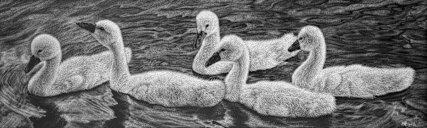 An Eyrar of Cygnets by Brittany Johnson