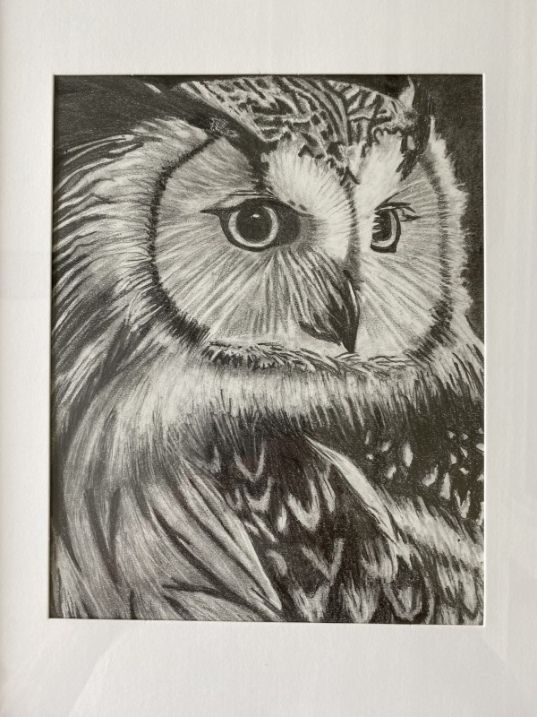 Owl by Karen Keenan