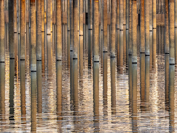 Pier by Sue Mangan