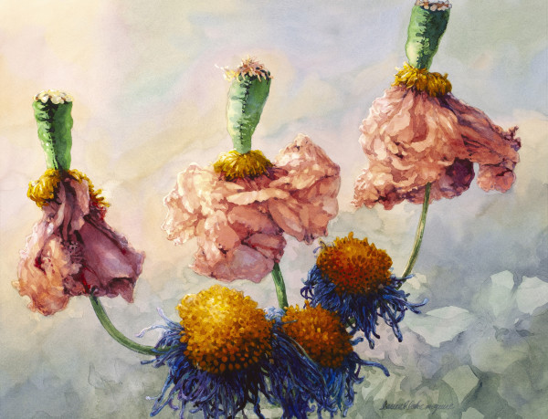 Belles and Wallflowers by Laurel McGuire