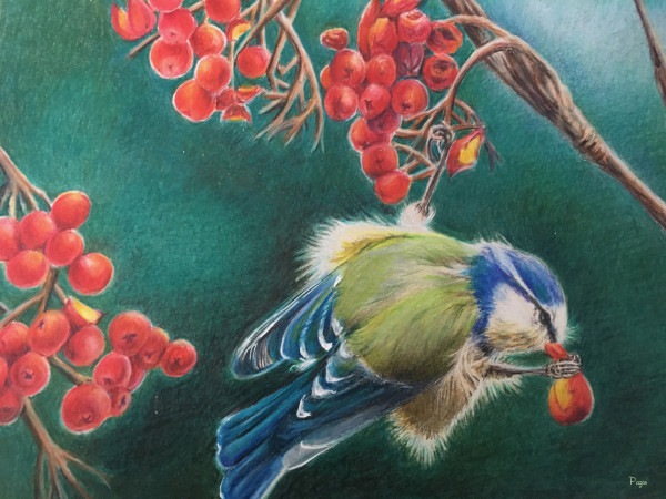 Bird with Berries by Maria Pazos