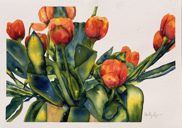 Scarlet Tulips in a Mustard Pot by Shirley Peppers