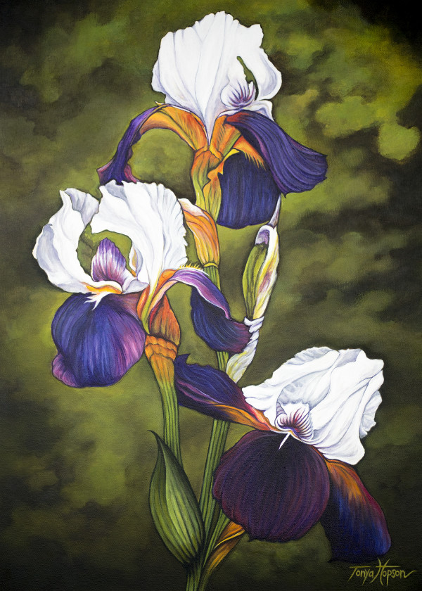 Purple Irises by Tonya Hopson