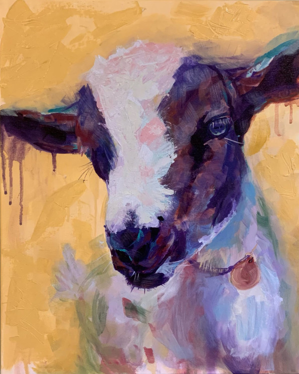 Pygmy Goat by Marisa Canino