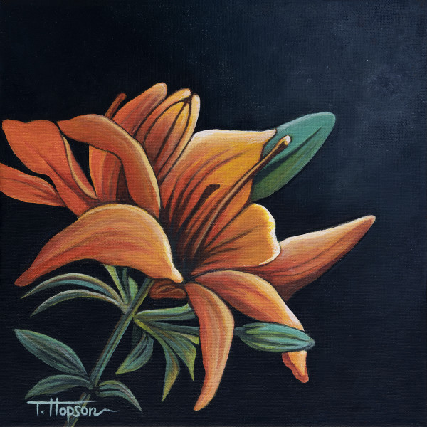 Tiger Lily by Tonya Hopson