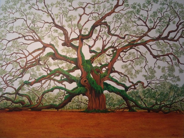 Tree of Life; Angel Oak, Charleston, SC  by Rick Seguso