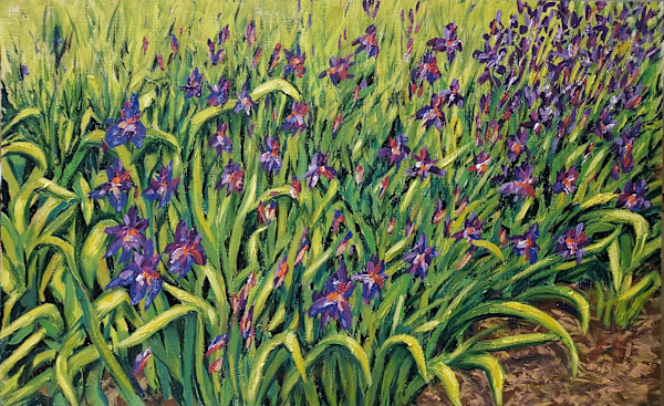 Mary Lou's Irises by Vivian Zoe