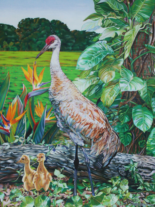 Sandhill Cranes by Nancy Jacey