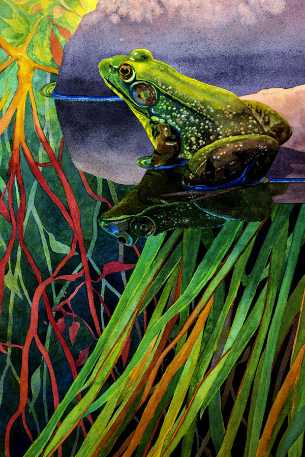 King of the Pond by Ann Hart
