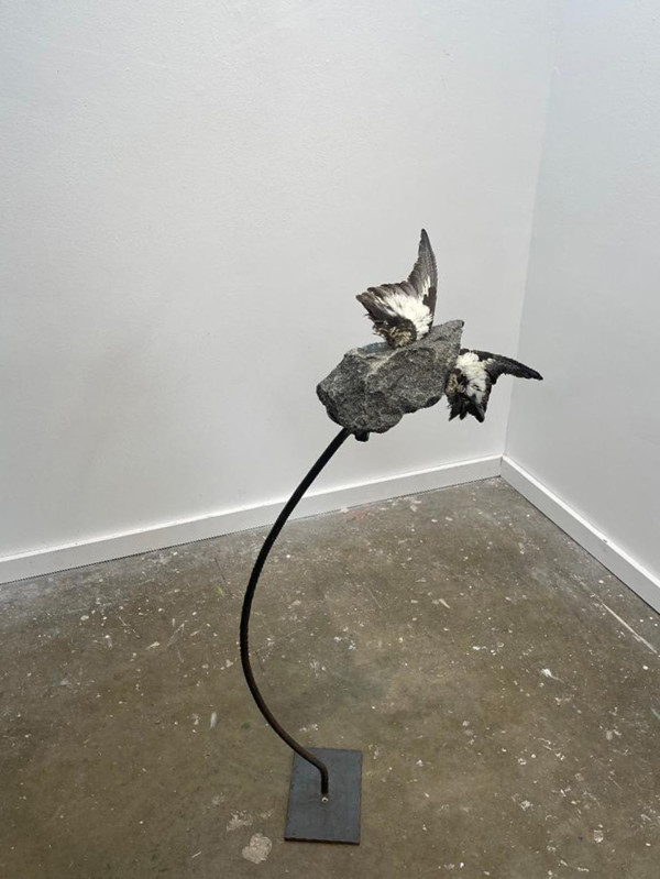 Means of Flight by Ceci Cole McInturff
