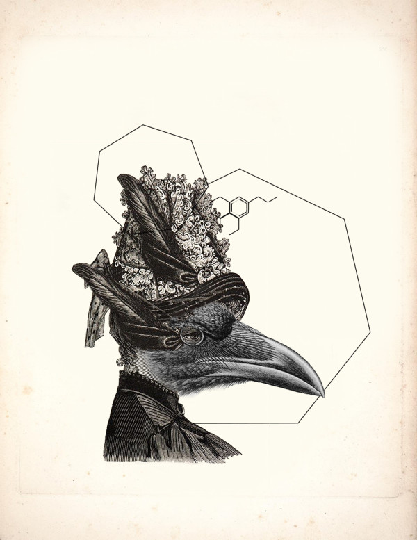 Shapeshift (Becoming What is Needed for Survival) by Angela Kahoalii Casagrande