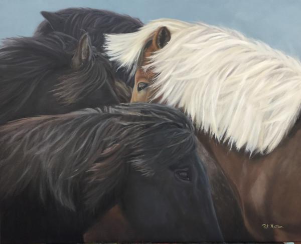 Icelandic Ponies by Pat Wattam