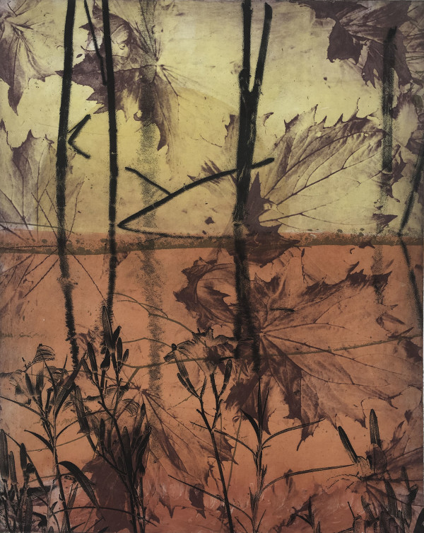 Pond Sunrise by Juliet Mattila