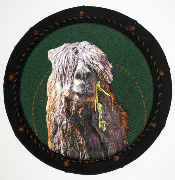 Lunch with a Llama by Jayne Gaskins
