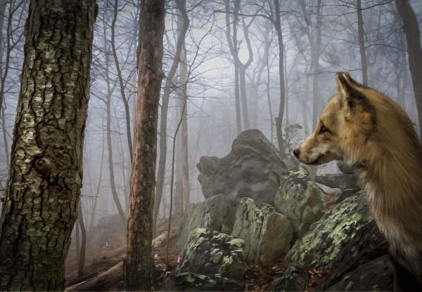 Sentinels II by Phillip Grove