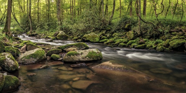 Cascades of the Oconaluftee by Daniel Clouser