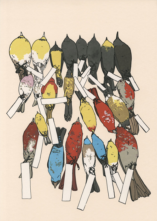 Bird Specimens by Jessica Marie Gross