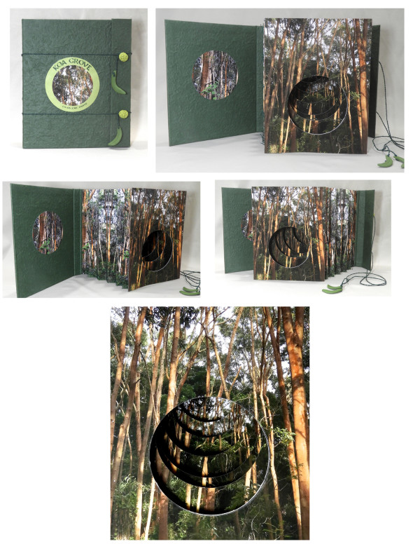 Koa Grove by Charlene Asato
