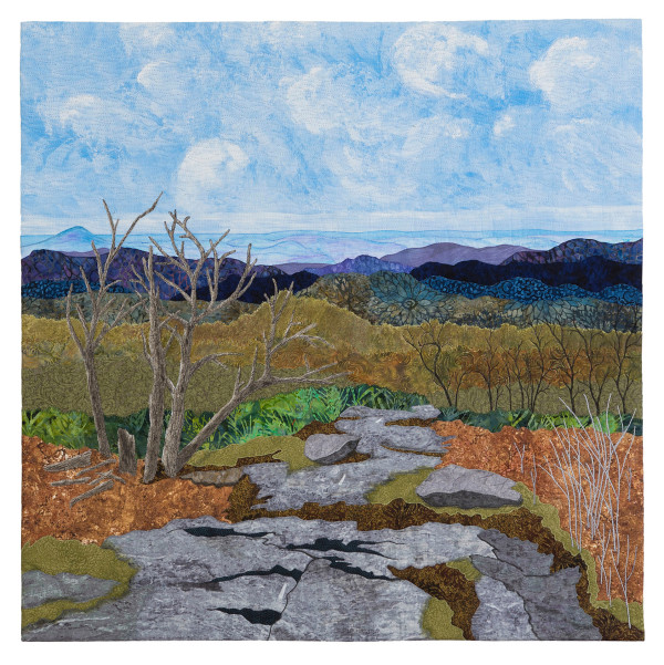Decending Blood Mountain by JoAnn Camp