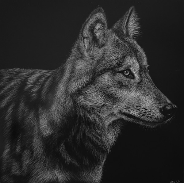 Wolf by Brittany Johnson