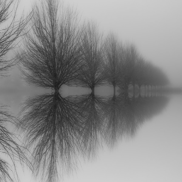 Indefinite Fog by Steven Kratka