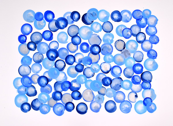 SarahVonDreele2018_327