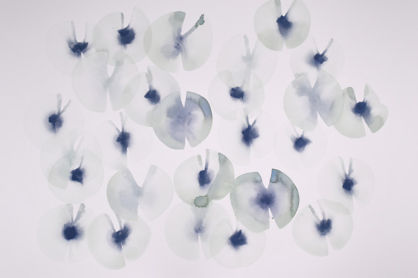 SarahVonDreele2018_368