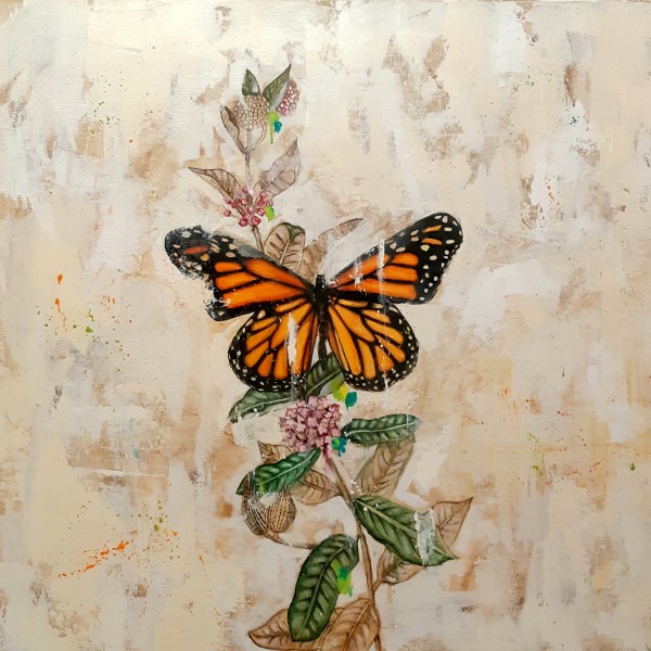 Milkweed Monarch by Catherine Mills