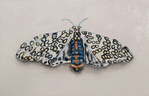 Small Spotted Moth by Catherine Mills