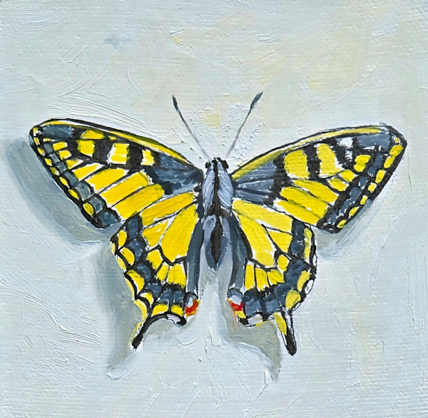 Mini Yellow Swallowtail by Catherine Mills