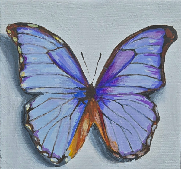 Mini Morpho by Catherine Mills