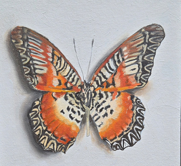 Spring Lacewing by Catherine Mills