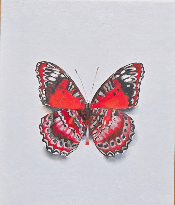 Red Lacewing by Catherine Mills