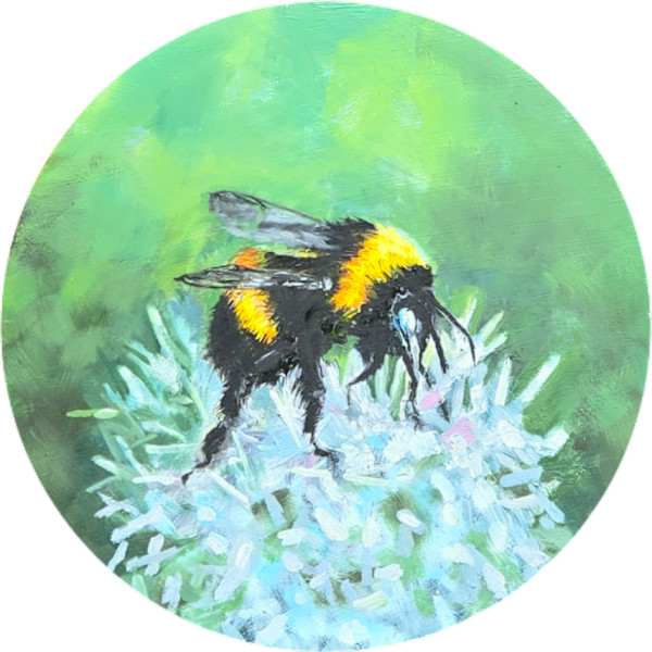Clover Bee by Catherine Mills