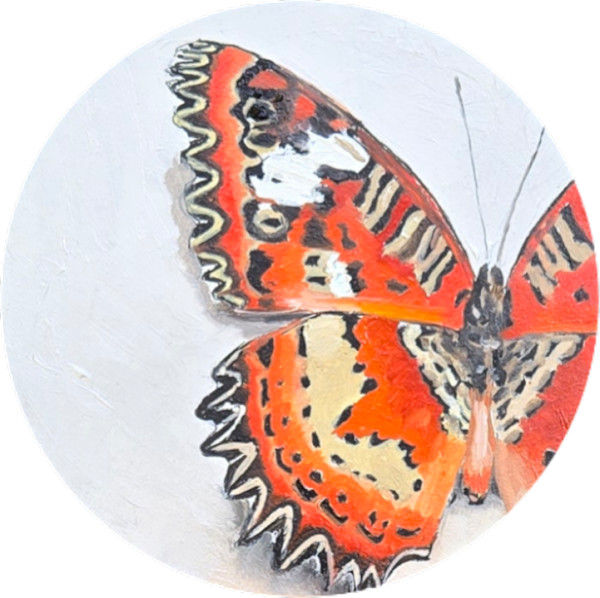 Mini Lacewing by Catherine Mills