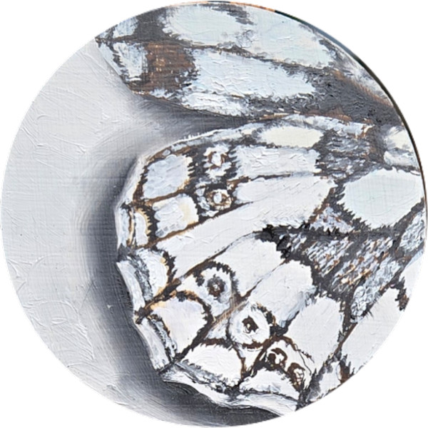 Mini Marble White 2 by Catherine Mills