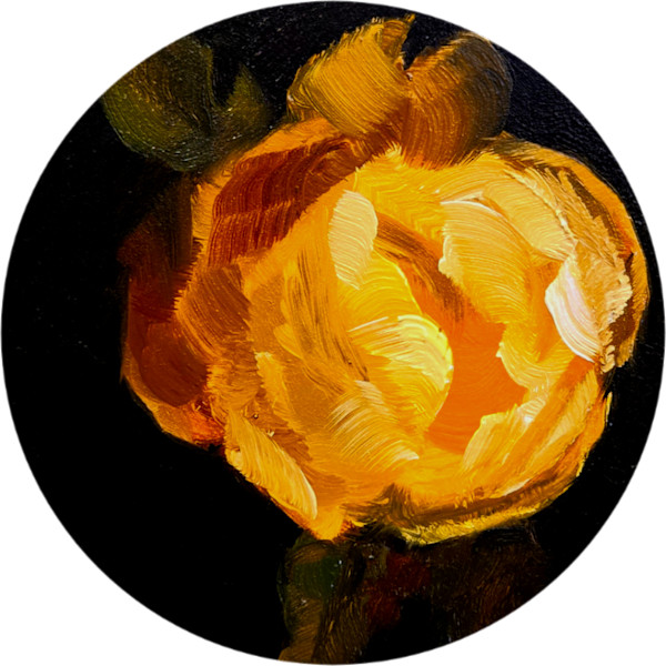Mini Rose by Catherine Mills