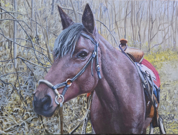 Felina by Catherine Mills