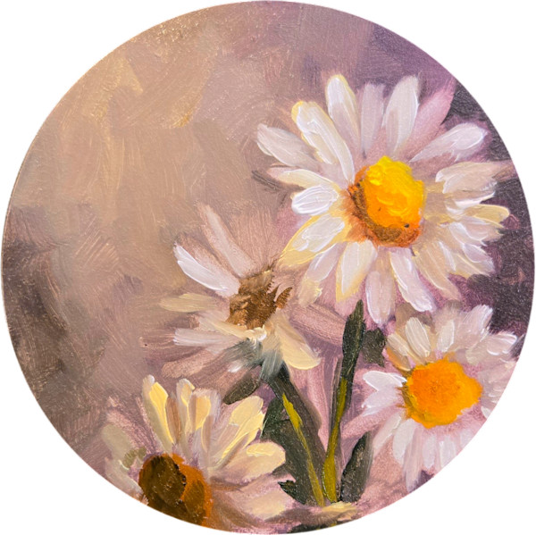 Daisy by Catherine Mills