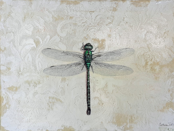 Green Dragonfly by Catherine Mills