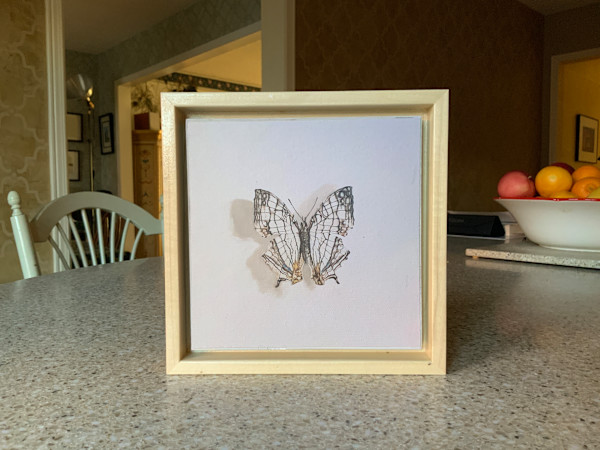 Map Butterfly, Framed Print by Catherine Mills