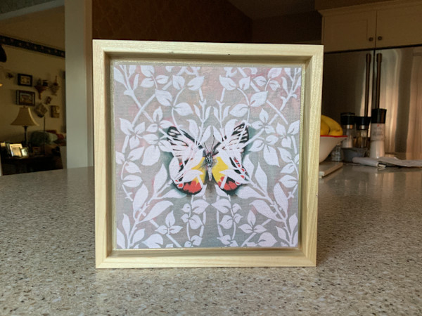 'Tangled' framed print by Catherine Mills