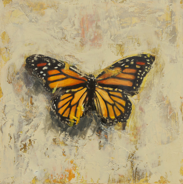 Distressed Monarch by Catherine Mills