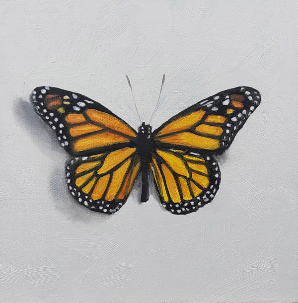 Small Monarch by Catherine Mills