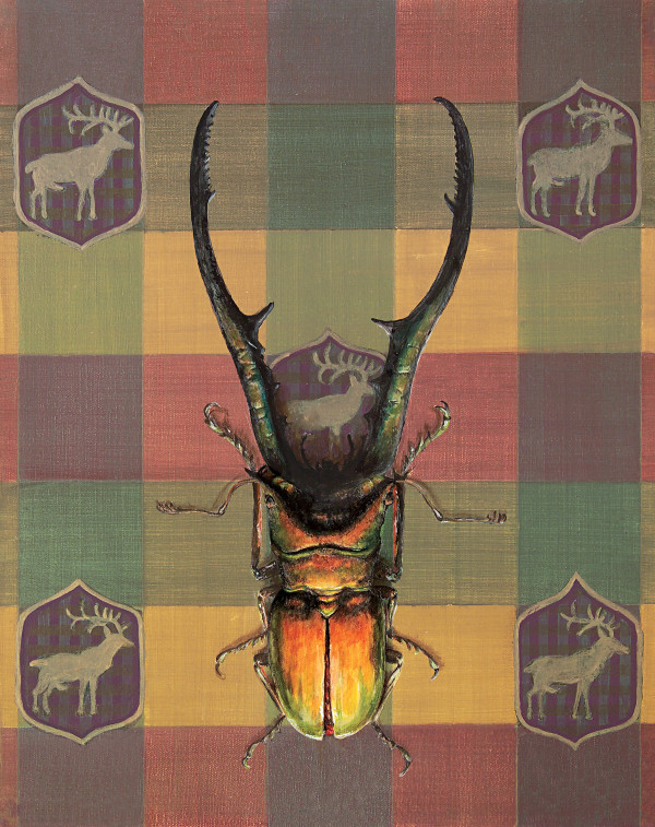 Stag Beetle by Catherine Mills