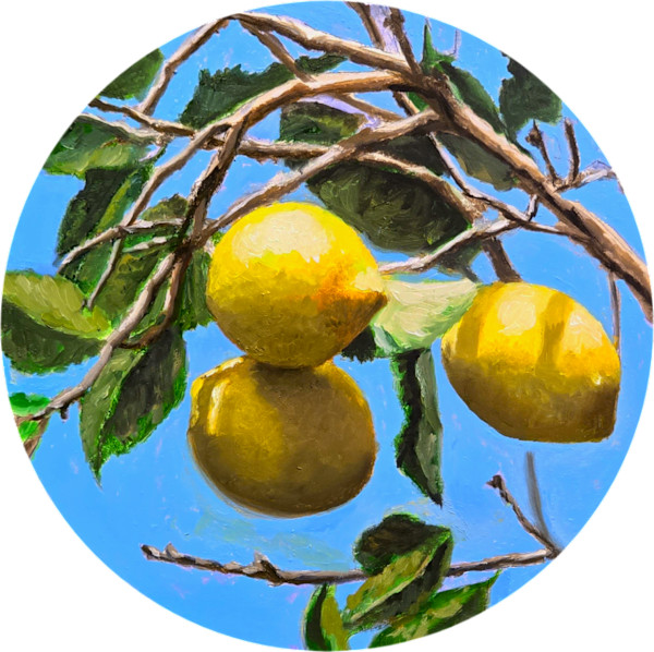 Lemons by Catherine Mills