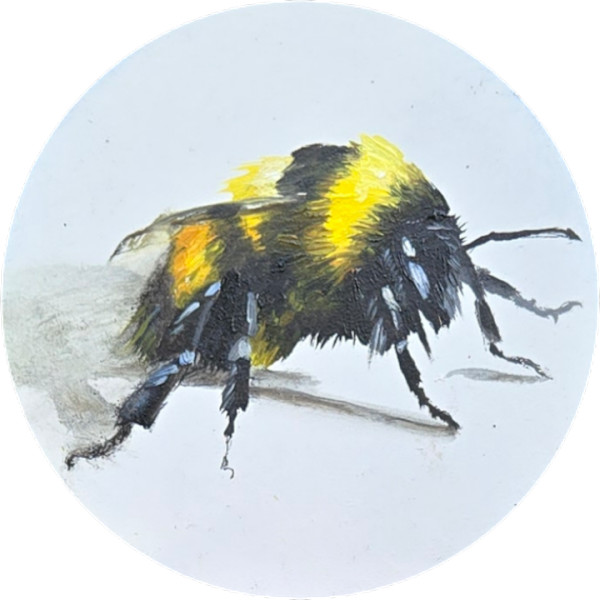 Small Bee by Catherine Mills